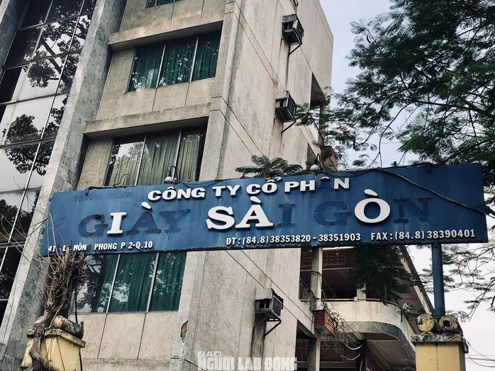 TP HCM: Cảnh trái ngược bên trong khu đất 419 Lê Hồng Phong- Ảnh 6.