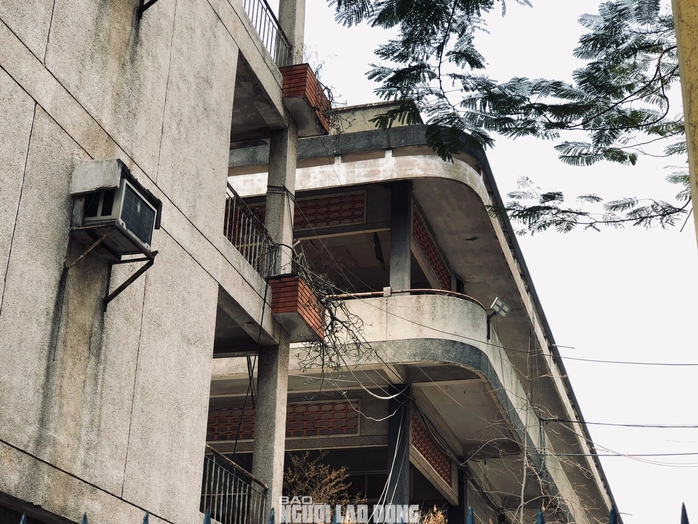 TP HCM: Cảnh trái ngược bên trong khu đất 419 Lê Hồng Phong- Ảnh 4.