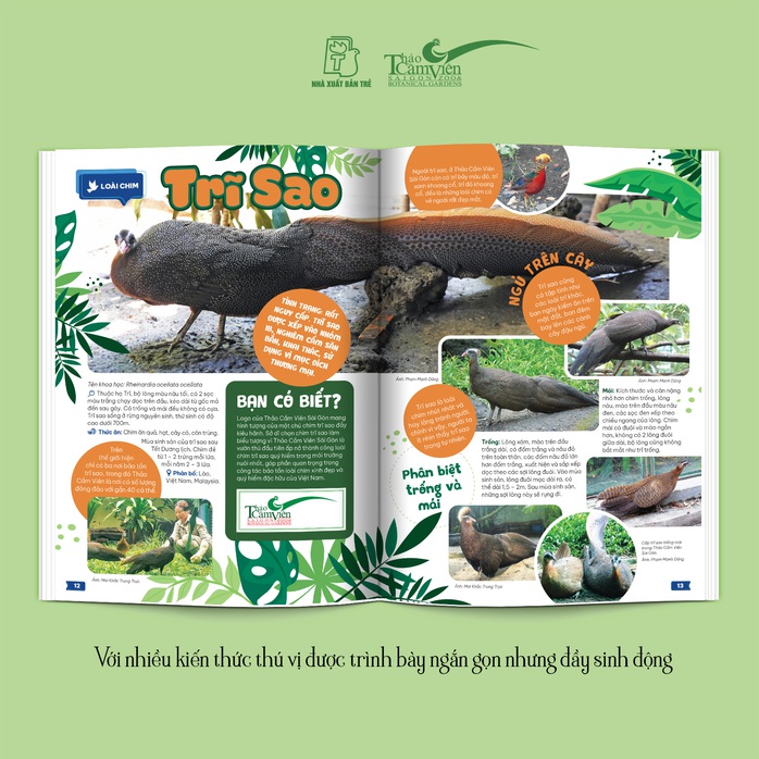 Thảo Cầm Viên Sài Gòn - Kho báu trong lòng thành phố- Ảnh 3. Thảo Cầm Viên Sài Gòn - Kho báu trong lòng thành phố- Ảnh 3.