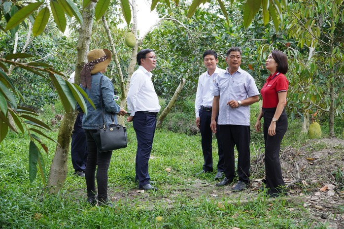 Một nông dân trồng mít Thái tiết lộ cách “tích tiểu thành đại”- Ảnh 1. Một nông dân trồng mít Thái tiết lộ cách “tích tiểu thành đại”- Ảnh 1.