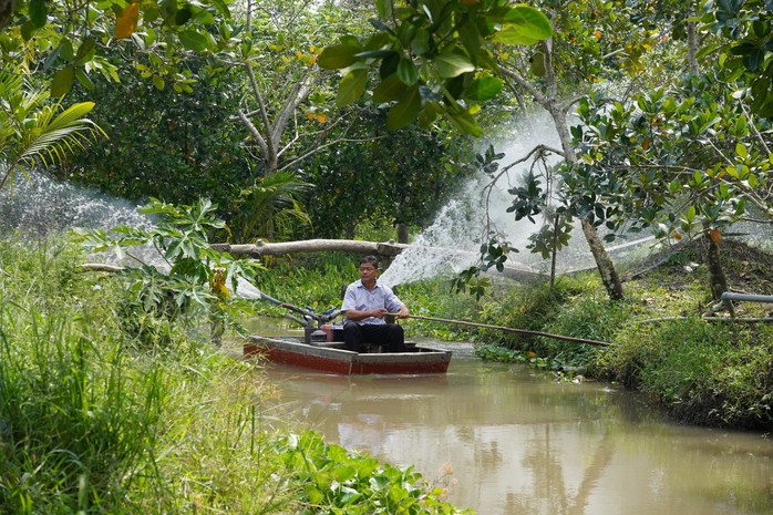 Một nông dân trồng mít Thái tiết lộ cách “tích tiểu thành đại”- Ảnh 3. Một nông dân trồng mít Thái tiết lộ cách “tích tiểu thành đại”- Ảnh 3.