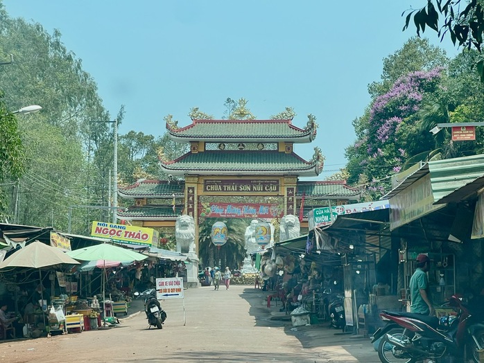 Cận cảnh rừng phòng hộ núi Cậu- Dầu Tiếng trong mùa nắng nóng - Ảnh 2. Cận cảnh rừng phòng hộ núi Cậu- Dầu Tiếng trong mùa nắng nóng - Ảnh 2.