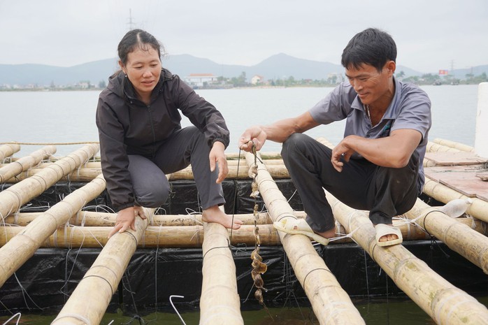 Vợ chồng anh Trần Quốc Trong trên bè nuôi hàu treo dây của mình ở cửa sông Gianh Vợ chồng anh Trần Quốc Trong trên bè nuôi hàu treo dây của mình ở cửa sông Gianh