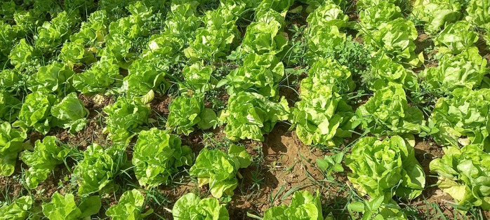 Cà phê còn lại một chút gì…- Ảnh 1. Cà phê còn lại một chút gì…- Ảnh 1.
