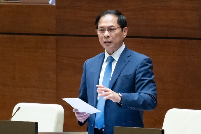 Đại biểu chất vấn Bộ trưởng Bộ Ngoại giao việc Đại biểu chất vấn Bộ trưởng Bộ Ngoại giao việc