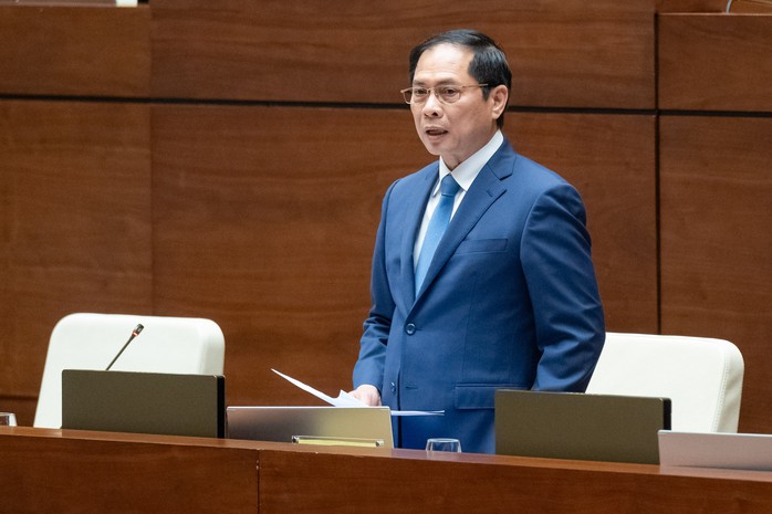 Bộ trưởng Bùi Thanh Sơn trả lời về việc du học sinh Việt Nam trốn ở lại- Ảnh 2. Bộ trưởng Bùi Thanh Sơn trả lời về việc du học sinh Việt Nam trốn ở lại- Ảnh 2.