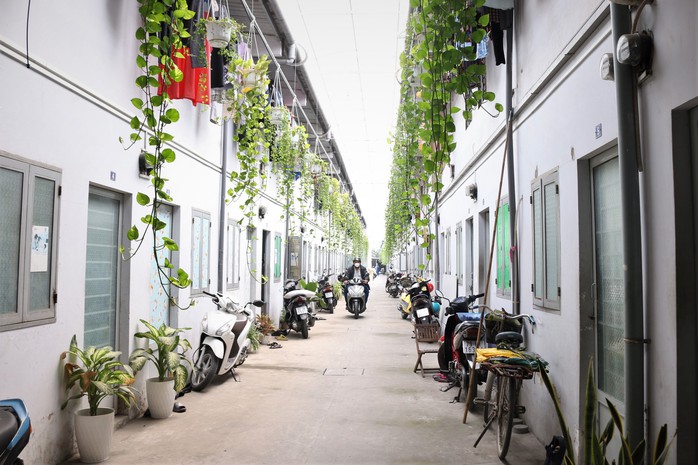 Chủ nhà trọ mong được vay ưu đãi như chủ đầu tư nhà ở xã hội- Ảnh 1. Chủ nhà trọ mong được vay ưu đãi như chủ đầu tư nhà ở xã hội- Ảnh 1.
