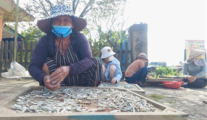 Đưa cá đi tìm nắng- Ảnh 2. Đưa cá đi tìm nắng- Ảnh 2.