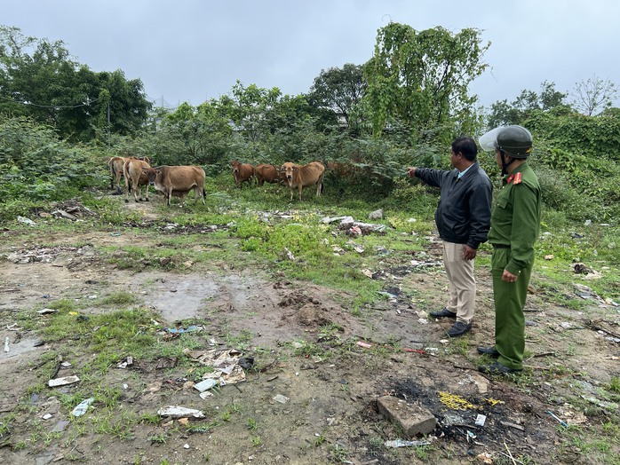 Lời khai ban đầu của kẻ trộm đàn bò giữa đêm khuya- Ảnh 2. Lời khai ban đầu của kẻ trộm đàn bò giữa đêm khuya- Ảnh 2.