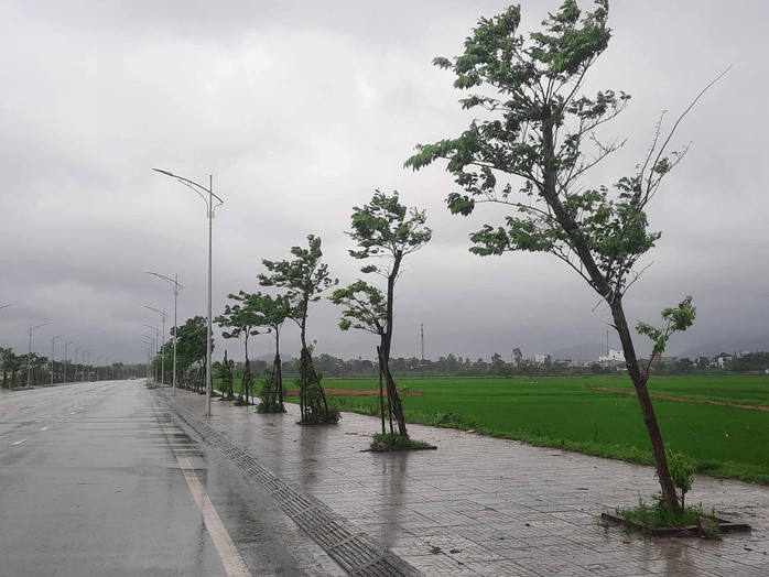 Hà Tĩnh rà soát lại các dự án trồng cây xanh sau yêu cầu của Bộ Công an- Ảnh 2. Hà Tĩnh rà soát lại các dự án trồng cây xanh sau yêu cầu của Bộ Công an- Ảnh 2.