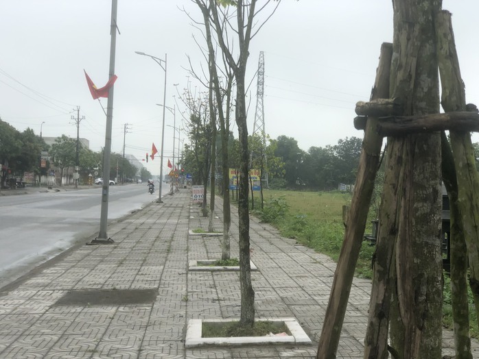 Hà Tĩnh rà soát lại các dự án trồng cây xanh sau yêu cầu của Bộ Công an- Ảnh 1. Hà Tĩnh rà soát lại các dự án trồng cây xanh sau yêu cầu của Bộ Công an- Ảnh 1.