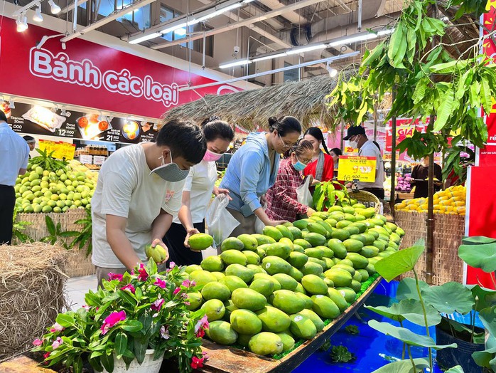 Siêu thị đồng loạt giảm giá xoài đến 40%- Ảnh 1. Siêu thị đồng loạt giảm giá xoài đến 40%- Ảnh 1.