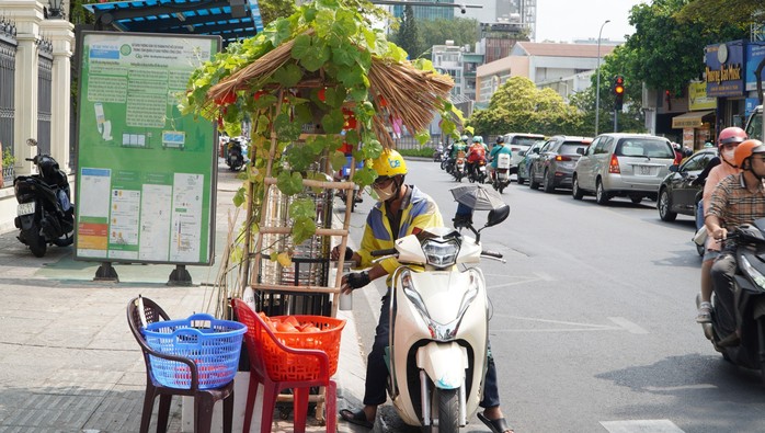 Thành phố mở rộng vòng tay- Ảnh 2. Thành phố mở rộng vòng tay- Ảnh 2.
