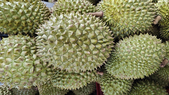 Vì sao 30 lô sầu riêng xuất khẩu bị Trung Quốc cảnh báo?- Ảnh 1. Vì sao 30 lô sầu riêng xuất khẩu bị Trung Quốc cảnh báo?- Ảnh 1.
