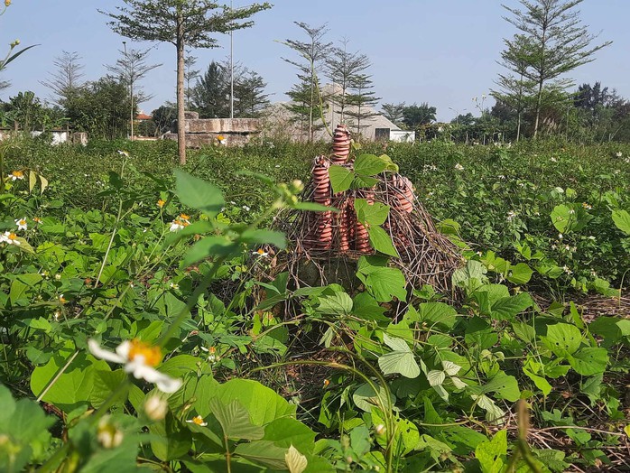 Cận cảnh dự án hơn 1.200 tỉ đồng “đắp chiếu” 7 năm qua trên khu đất vàng ở Hà Tĩnh- Ảnh 15. Cận cảnh dự án hơn 1.200 tỉ đồng “đắp chiếu” 7 năm qua trên khu đất vàng ở Hà Tĩnh- Ảnh 15.
