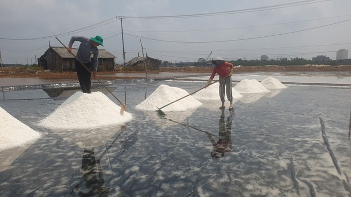 Diêm dân Cà Mau và Bạc Liêu năm nay không hưởng được niềm vui trọn vẹn vì muối trúng mùa mất giá Diêm dân Cà Mau và Bạc Liêu năm nay không hưởng được niềm vui trọn vẹn vì muối trúng mùa mất giá