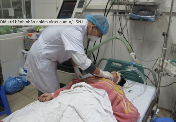 Gần 50% ca nhiễm cúm A/H5N1 tử vong, Bộ Y tế lưu ý 5 điểm này- Ảnh 1. Gần 50% ca nhiễm cúm A/H5N1 tử vong, Bộ Y tế lưu ý 5 điểm này- Ảnh 1.