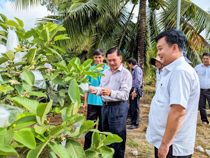 Chủ tịch tỉnh Sóc Trăng ra tận ruộng, vào tận vườn kiểm tra hạn, mặn- Ảnh 1.