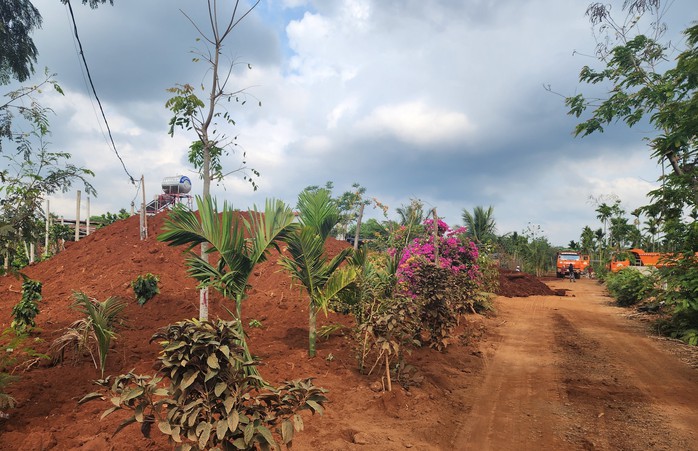 Lãnh đạo tỉnh Đắk Lắk lên tiếng vụ đem đất cao tốc đổ vào rẫy người dân- Ảnh 1. Lãnh đạo tỉnh Đắk Lắk lên tiếng vụ đem đất cao tốc đổ vào rẫy người dân- Ảnh 1.