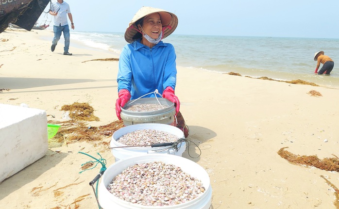 Cào ốc chép kiếm tiền triệu mỗi ngày ở Mỹ Thủy- Ảnh 7. Cào ốc chép kiếm tiền triệu mỗi ngày ở Mỹ Thủy- Ảnh 7.