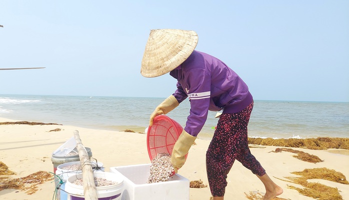 Cào ốc chép kiếm tiền triệu mỗi ngày ở Mỹ Thủy- Ảnh 4. Cào ốc chép kiếm tiền triệu mỗi ngày ở Mỹ Thủy- Ảnh 4.