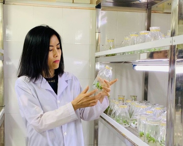 Một nữ giảng viên Trường ĐH Quy Nhơn đạt tiêu chuẩn giáo sư tại Pháp- Ảnh 1. Một nữ giảng viên Trường ĐH Quy Nhơn đạt tiêu chuẩn giáo sư tại Pháp- Ảnh 1.