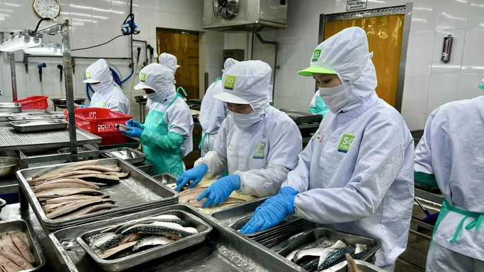 Nhu cầu lao động tại TP HCM tăng cao- Ảnh 1. Nhu cầu lao động tại TP HCM tăng cao- Ảnh 1.