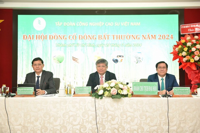 Cao su tăng giá, VRG phấn đấu doanh thu 1 tỉ USD- Ảnh 1.