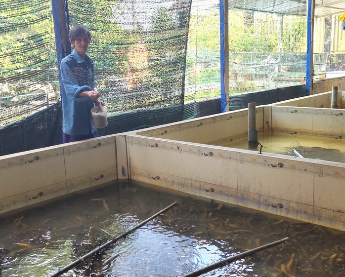 &Ocirc;ng Huỳnh Văn Mười b&ecirc;n những hồ nu&ocirc;i lươn kh&ocirc;ng b&ugrave;n theo chuẩn VietGAP