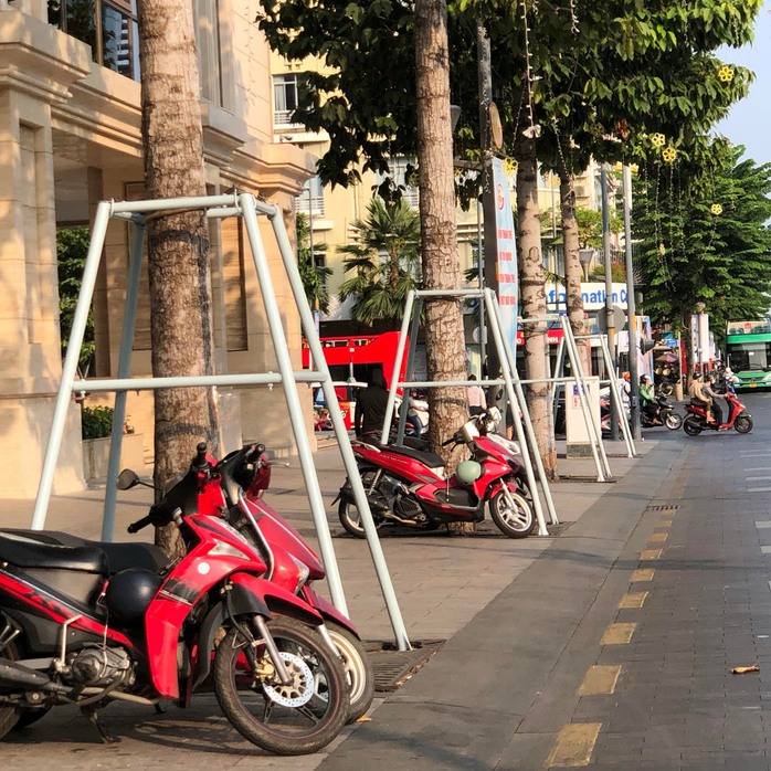 Những hàng cây Những hàng cây