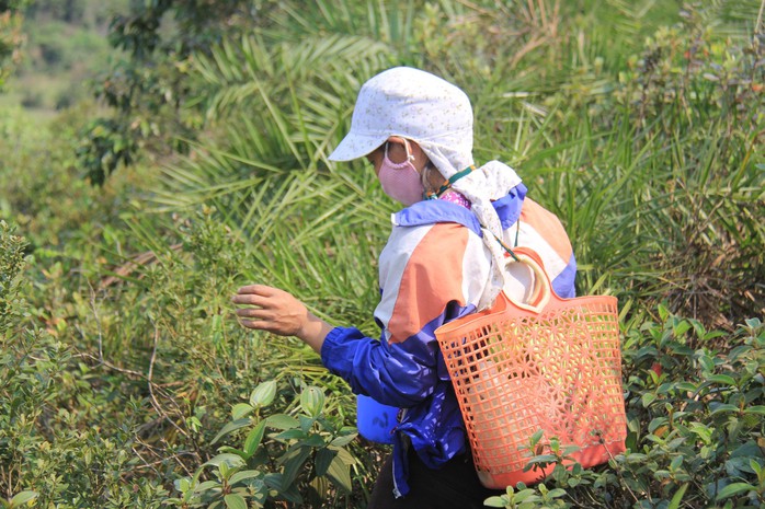 Hoành Sơn rất đỗi hào phóng- Ảnh 2.