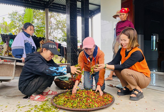 Hoành Sơn rất đỗi hào phóng- Ảnh 7.