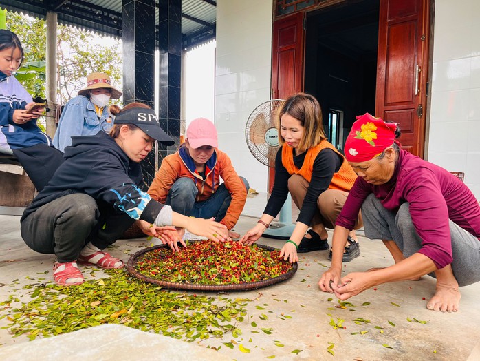 Hoành Sơn rất đỗi hào phóng- Ảnh 8.