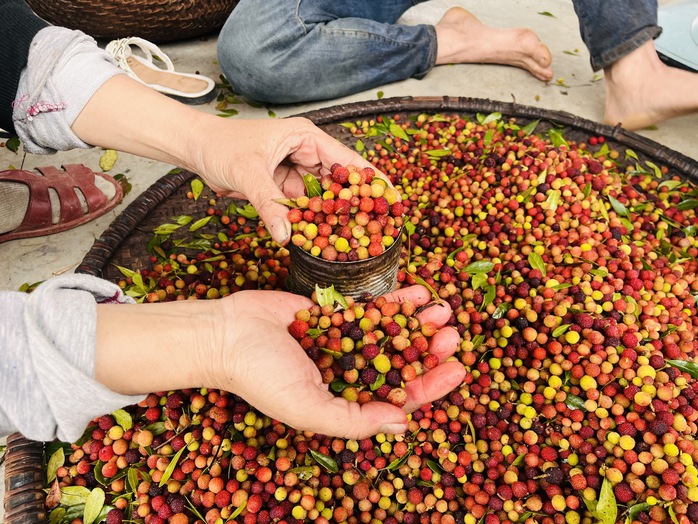 Hoành Sơn rất đỗi hào phóng- Ảnh 9.