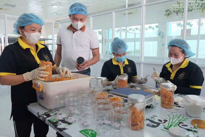 Sớm có chính sách hỗ trợ việc làm cho thanh niên- Ảnh 1. Sớm có chính sách hỗ trợ việc làm cho thanh niên- Ảnh 1.