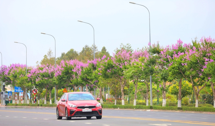 Con đường đẹp nhất Vĩnh Long Con đường đẹp nhất Vĩnh Long