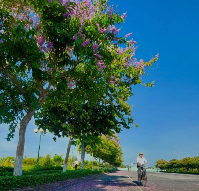 Con đường đẹp nhất Vĩnh Long Con đường đẹp nhất Vĩnh Long