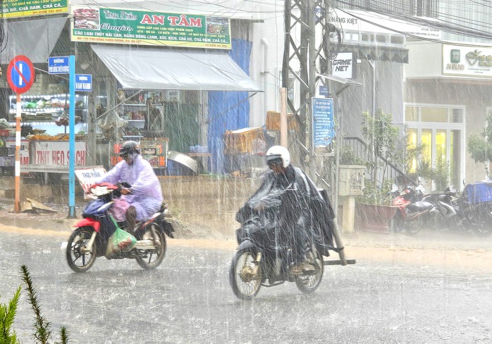 Đà Lạt đón cơn mưa Đà Lạt đón cơn mưa