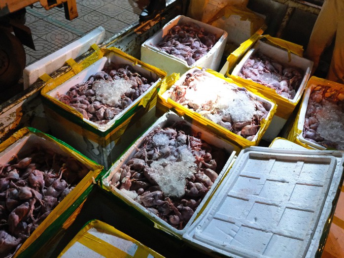 Bắt giữ hơn 2 tấn thịt chim cút bốc mùi hôi thối từ Đồng Nai ra Hà Nội tiêu thụ- Ảnh 2. Bắt giữ hơn 2 tấn thịt chim cút bốc mùi hôi thối từ Đồng Nai ra Hà Nội tiêu thụ- Ảnh 2.