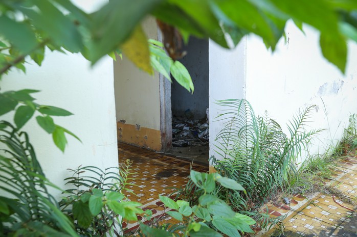 Hình ảnh xót xa tại các trụ sở, trường học tiền tỉ bị bỏ hoang ở Hà Tĩnh- Ảnh 5.