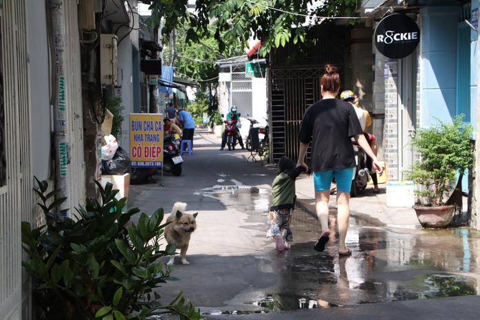 Nạn chó thả rông, không đeo rọ mõm là hình ảnh thường thấy từ ngõ hẻm đến các tuyến đường lớnẢnh: Anh Vũ Nạn chó thả rông, không đeo rọ mõm là hình ảnh thường thấy từ ngõ hẻm đến các tuyến đường lớnẢnh: Anh Vũ