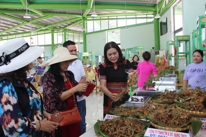 Quảng Nam ra mắt sàn thương mại điện tử về sâm Ngọc Linh và dược liệu- Ảnh 3. Quảng Nam ra mắt sàn thương mại điện tử về sâm Ngọc Linh và dược liệu- Ảnh 3.
