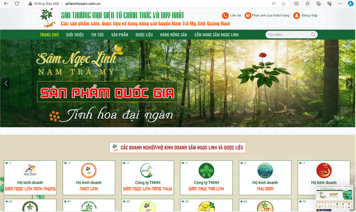Quảng Nam ra mắt sàn thương mại điện tử về sâm Ngọc Linh và dược liệu- Ảnh 1. Quảng Nam ra mắt sàn thương mại điện tử về sâm Ngọc Linh và dược liệu- Ảnh 1.