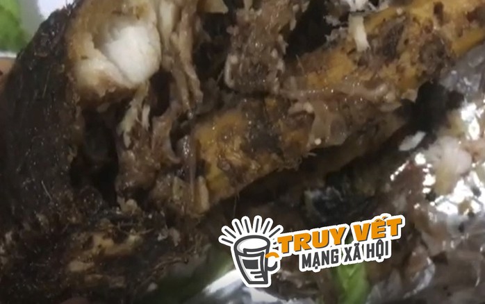 CLIP: Ớn lạnh dòi lúc nhúc trong cá lóc nướng- Ảnh 1. CLIP: Ớn lạnh dòi lúc nhúc trong cá lóc nướng- Ảnh 1.