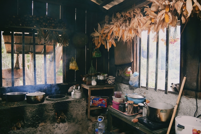 Lý Hải trồng cánh đồng hoa bất tử, dựng các dãy nhà- Ảnh 4. Lý Hải trồng cánh đồng hoa bất tử, dựng các dãy nhà- Ảnh 4.