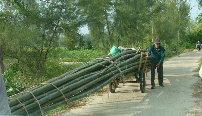 Tre từ n&ocirc;ng th&ocirc;n chuyển về đ&ocirc; thị