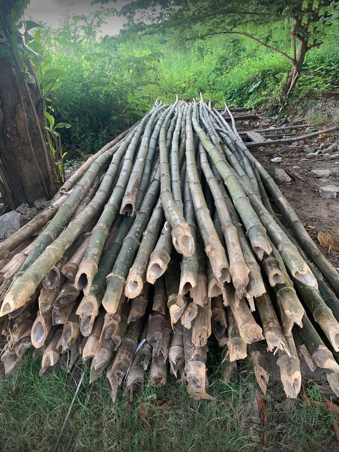 Tre từ n&ocirc;ng th&ocirc;n chuyển về đ&ocirc; thị