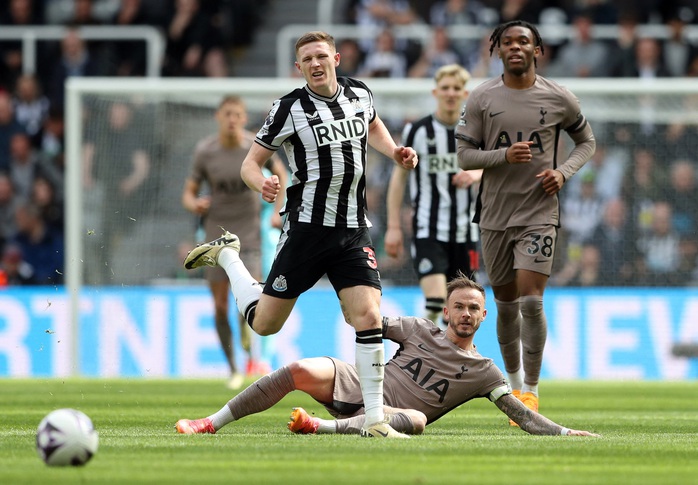James Maddison đối đầu cùng Sean Longstaff James Maddison đối đầu cùng Sean Longstaff