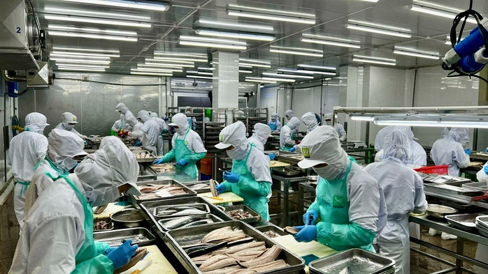 Được nghỉ lễ dài ngày, người lao động dự định gì?- Ảnh 1. Được nghỉ lễ dài ngày, người lao động dự định gì?- Ảnh 1.