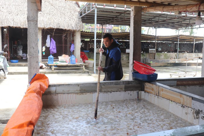 Vớt "vàng trắng" trên biển, ngư dân Thanh Hóa kiếm tiền triệu mỗi ngày- Ảnh 9.